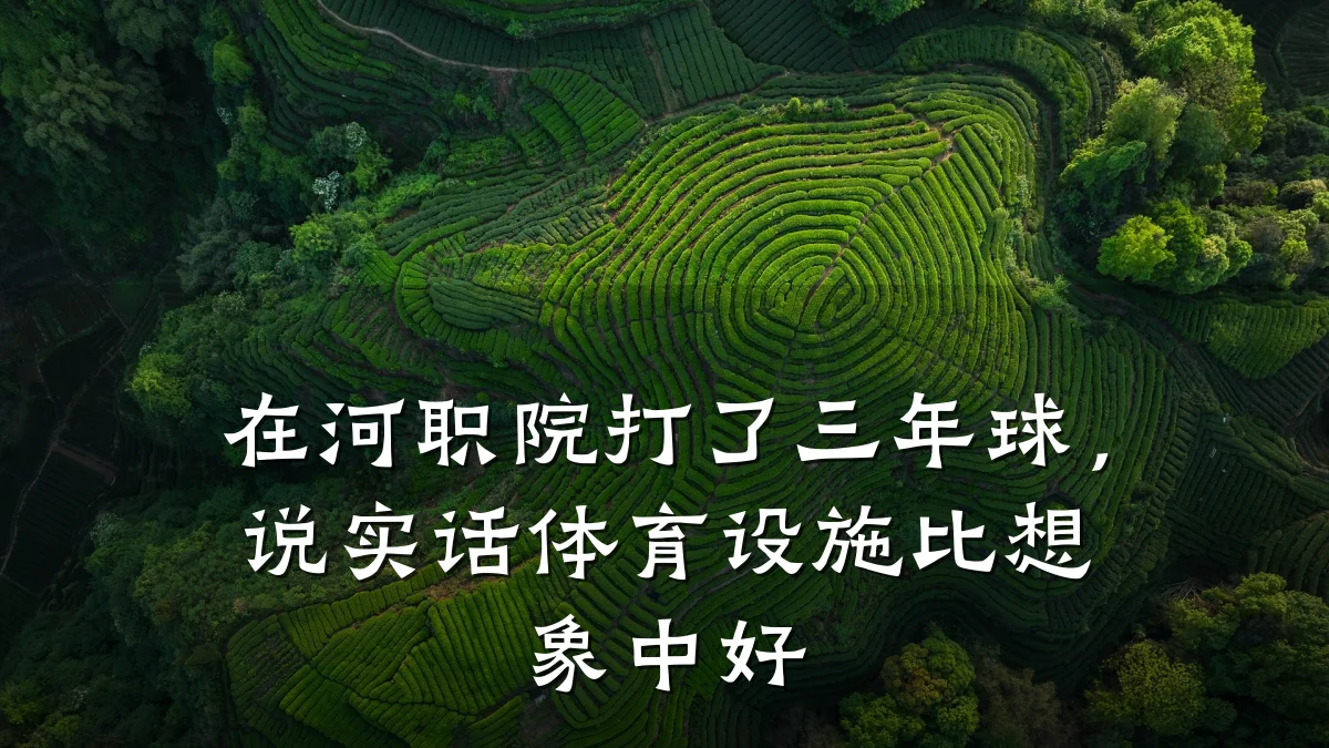 在河职院打了三年球,说实话体育设施比想象中好