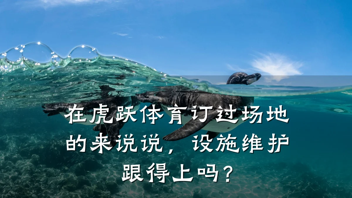 在虎跃体育订过场地的来说说,设施维护跟得上吗?