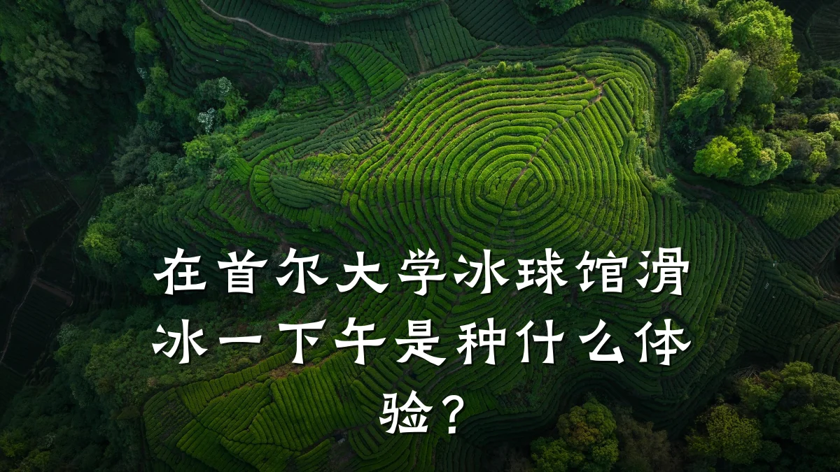 在首尔大学冰球馆滑冰一下午是种什么体验？