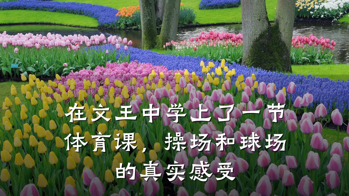 在文王中学上了一节体育课,操场和球场的真实感受
