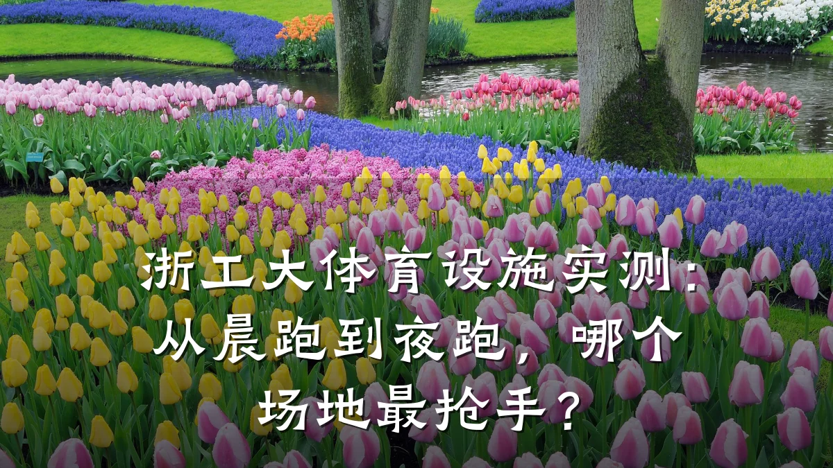 浙工大体育设施实测:从晨跑到夜跑,哪个场地最抢手?