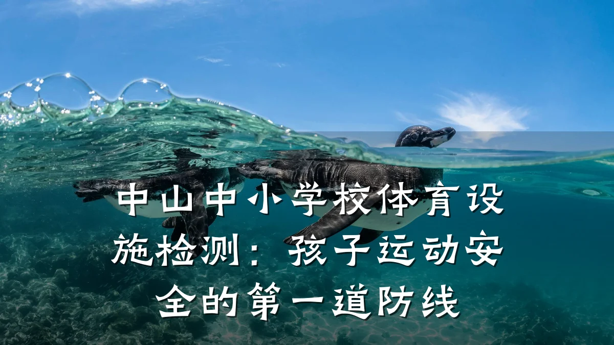 中山中小学校体育设施检测：孩子运动安全的第一道防线