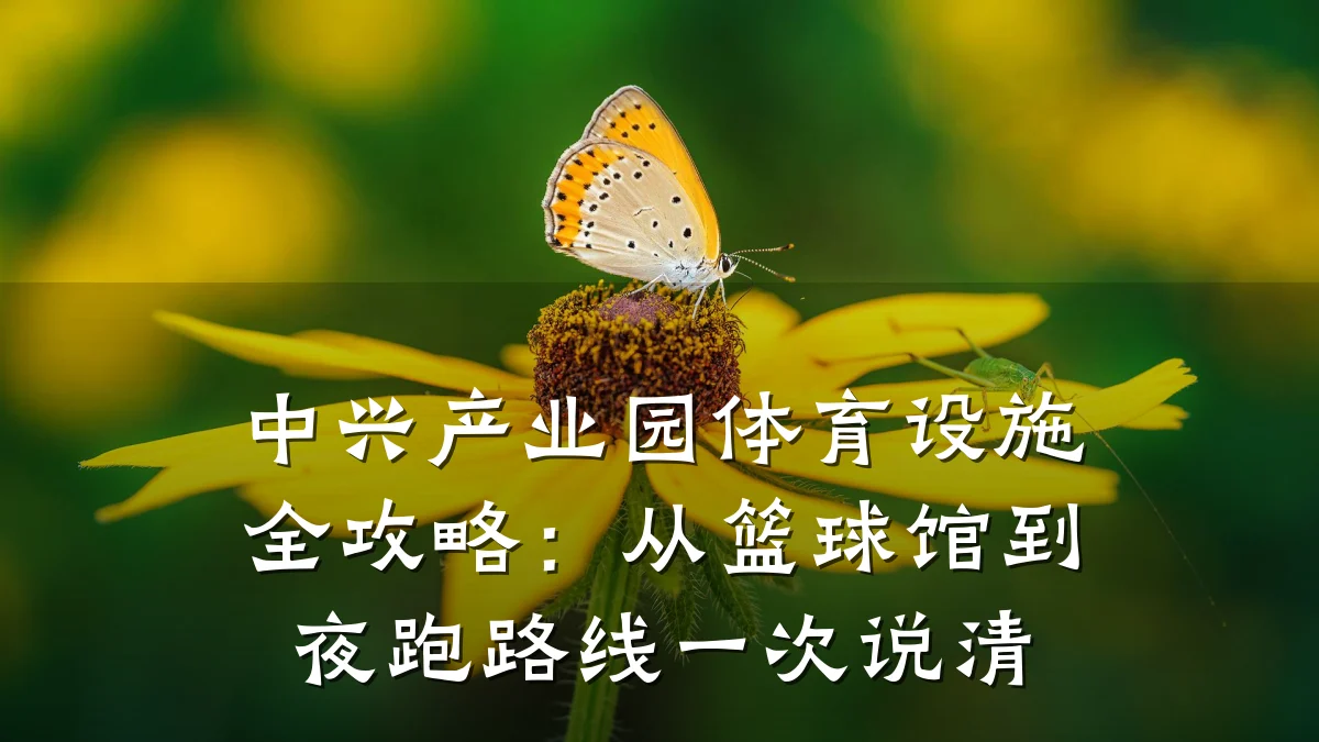 中兴产业园体育设施全攻略:从篮球馆到夜跑路线一次说清