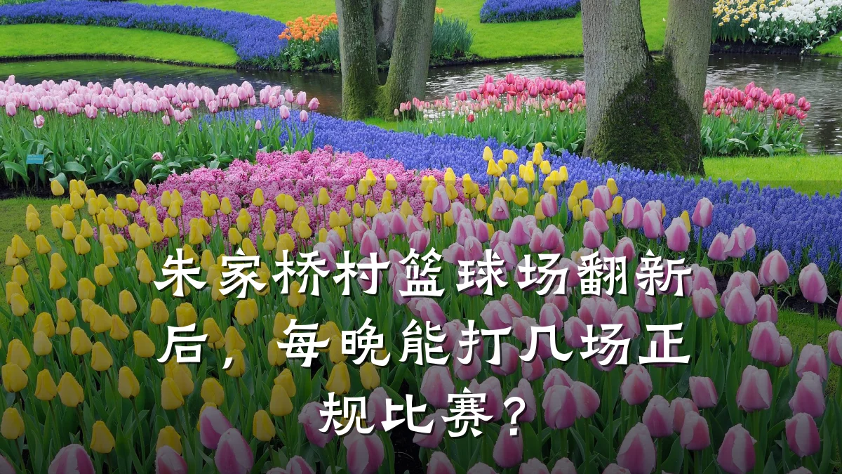 朱家桥村篮球场翻新后,每晚能打几场正规比赛?