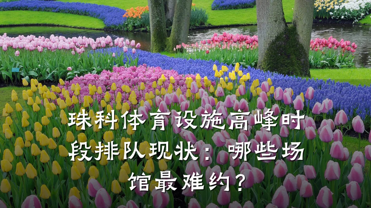 珠科体育设施高峰时段排队现状:哪些场馆最难约?